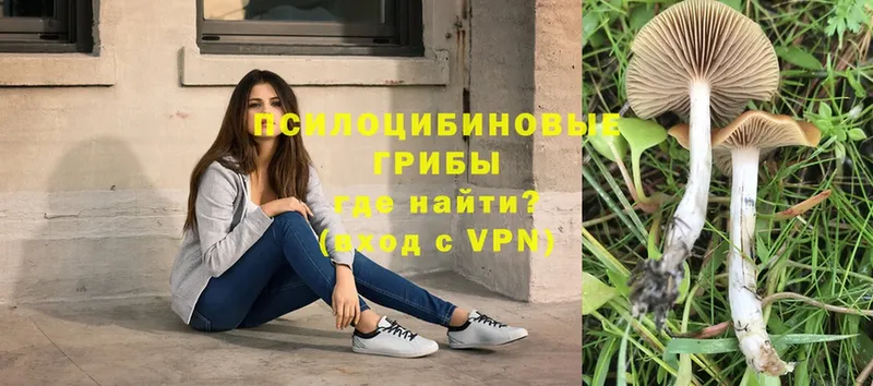 Какие есть наркотики Пермь Конопля  МЕФ  МДМА  ГАШ  A-PVP 